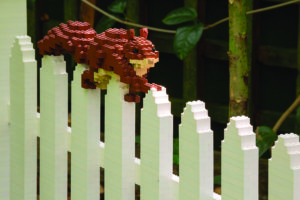 Birds vs. Squirrels in LEGO® form. (Photo courtesy of Lauritzen Gardens for The Danish Pioneer Newspaper) 