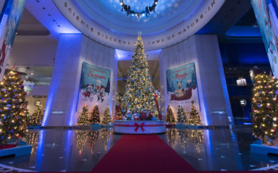 #19 The Danish Pioneer’s Countdown to Christmas 2014: See the Danish Tree at the Museum of Science & Industry’s ‘Christmas Around the World’ through Jan. 4, 2015 in Chicago