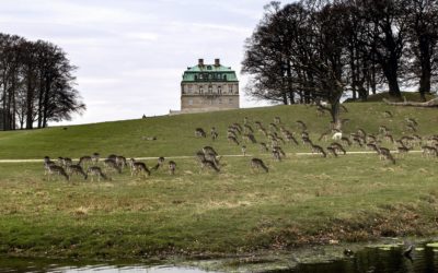 Eremitage Castle in Lyngby, Denmark opens June 1 – August 31, 2014