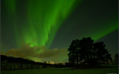 Celebrating 30 Years of the Northern Lights Auktion to benefit Nordic Museum in Seattle!