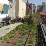 Highline Park in New York City (Photo courtesy of The Danish Pioneer Newspaper)