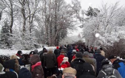 #4 The Danish Pioneer's Countdown to Christmas 2014: A Walk for Charity in Denmark